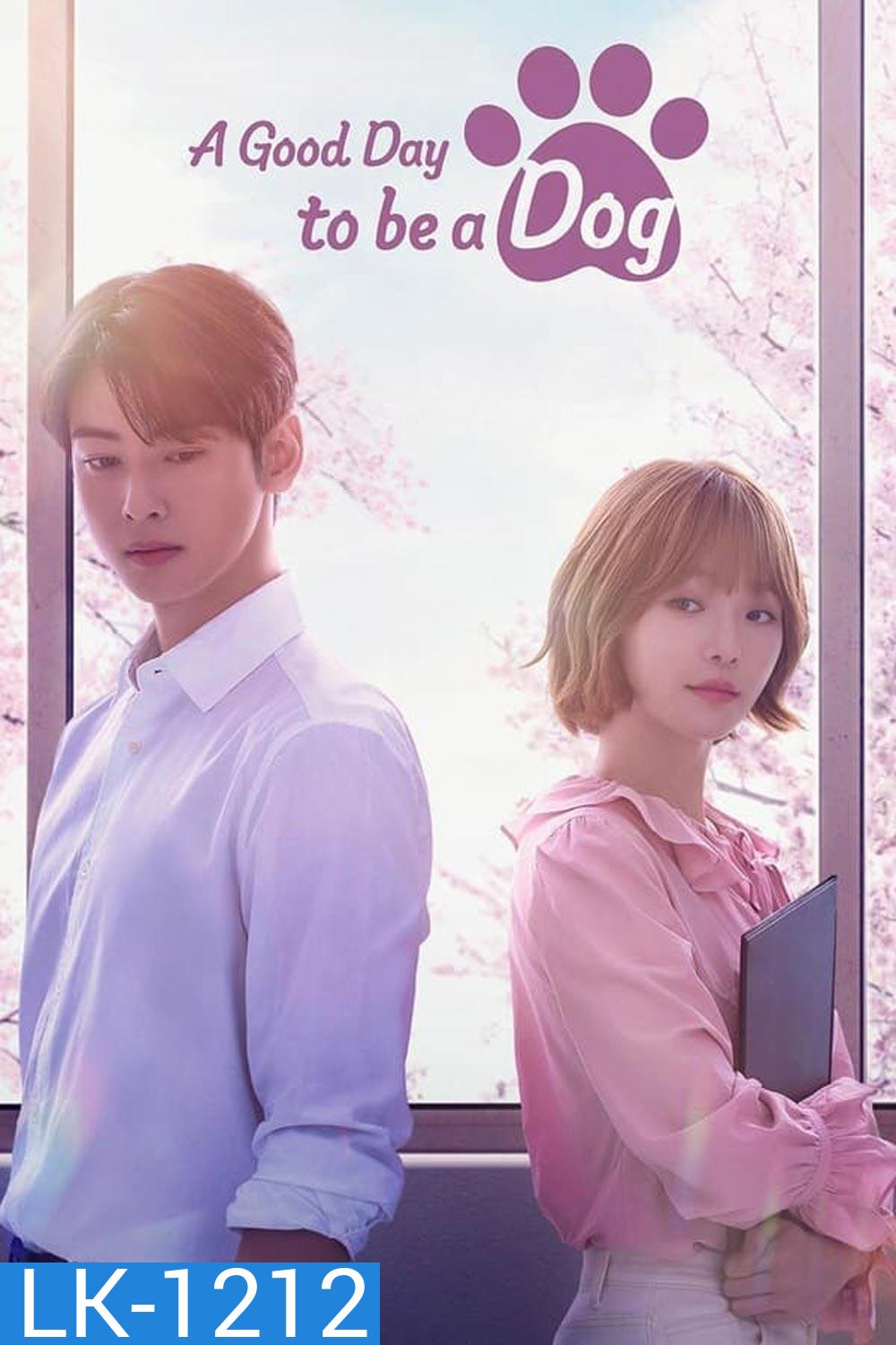 A Good Day To Be A Dog จูบรักปลดล็อก (2023)