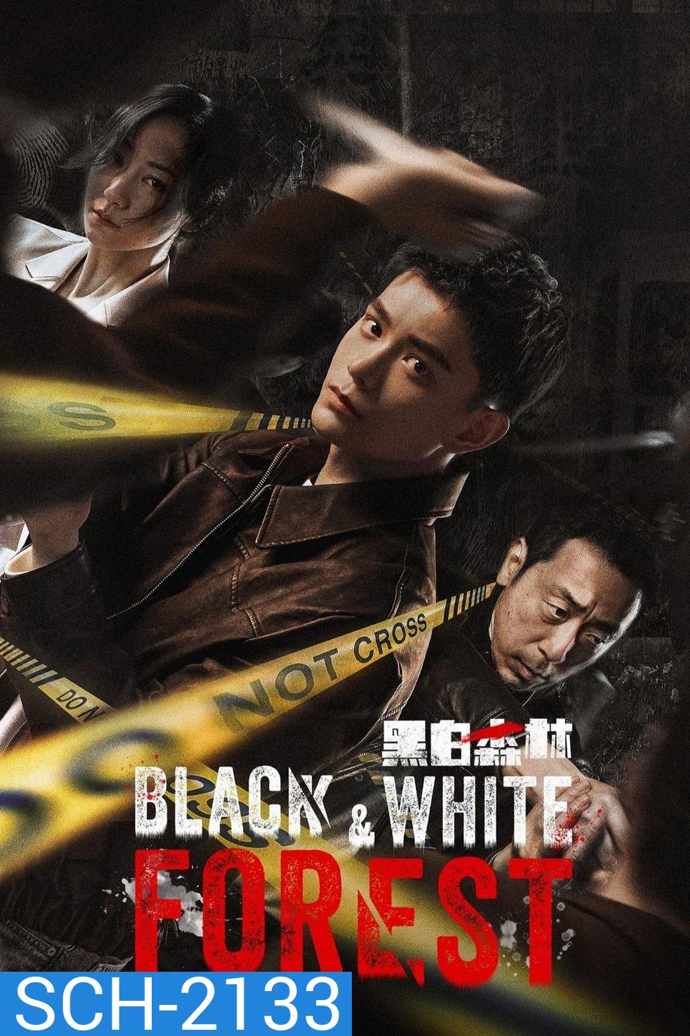 Black and White Forest ปมปริศนาป่าซ่อนเงื่อน (2024) 28 ตอนจบ