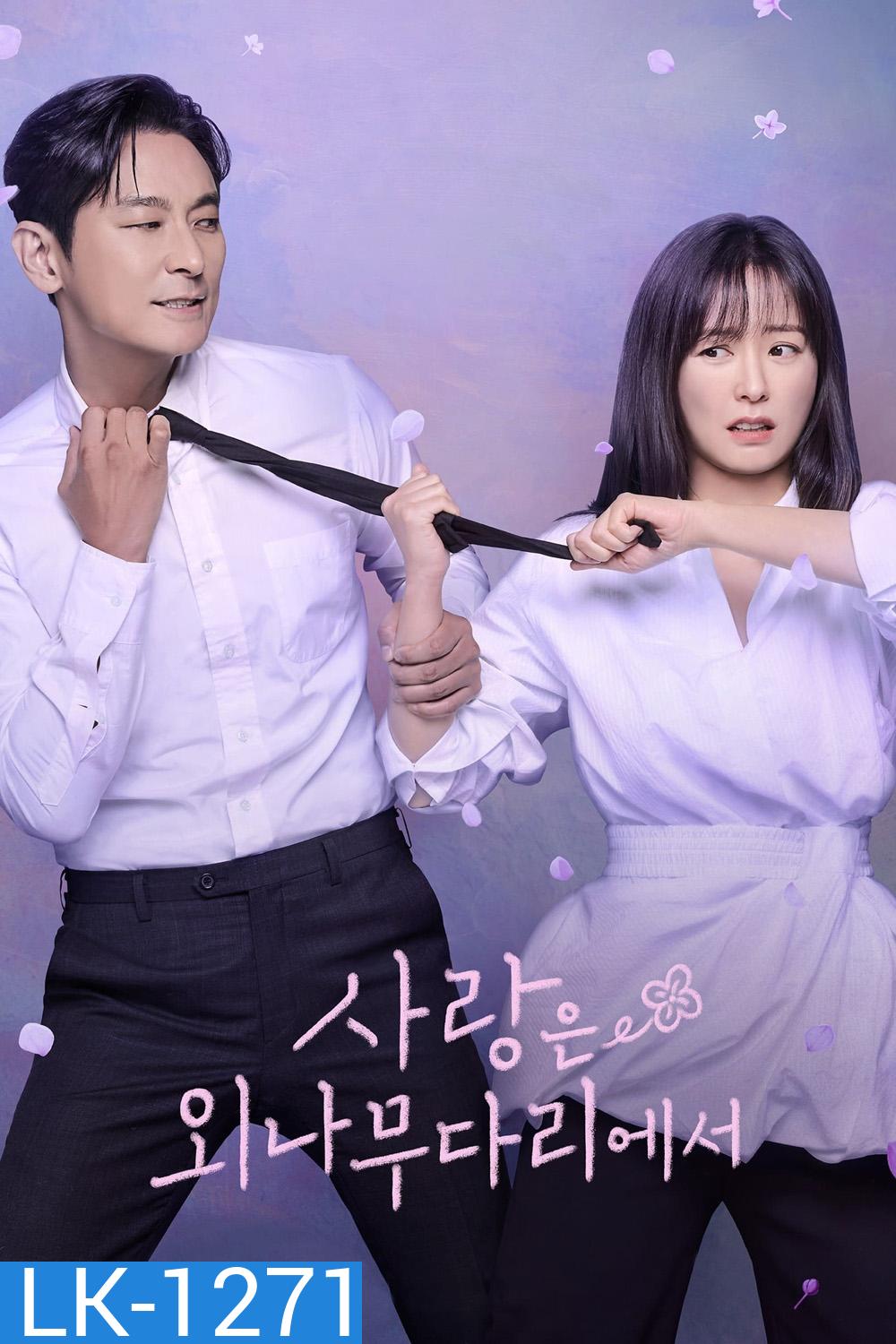 Love Your Enemy อริร้าย กลายรัก (2024) 12 ตอนจบ