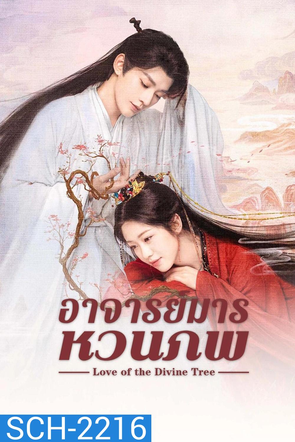 Love of the Divine Tree อาจารย์มารหวนภพ (2025) 40 ตอนจบ