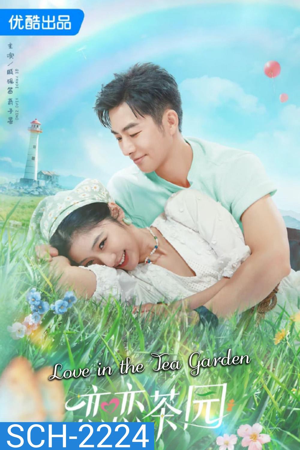 Love in the Tea Garden รักเกิดในสวนชา (2024) 24 ตอนจบ
