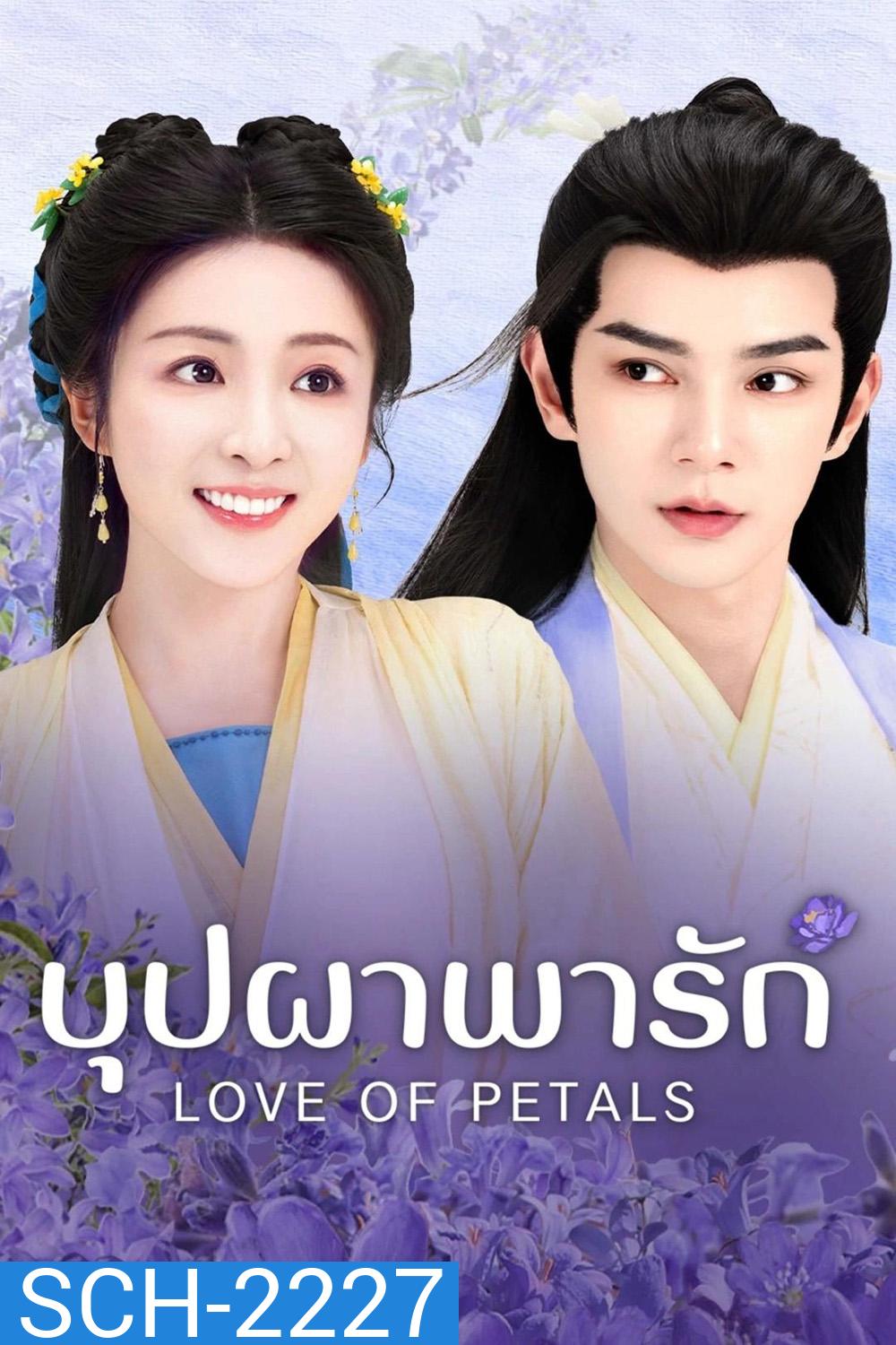 Love of Petals บุปผาพารัก [2025] 24 ตอนจบ