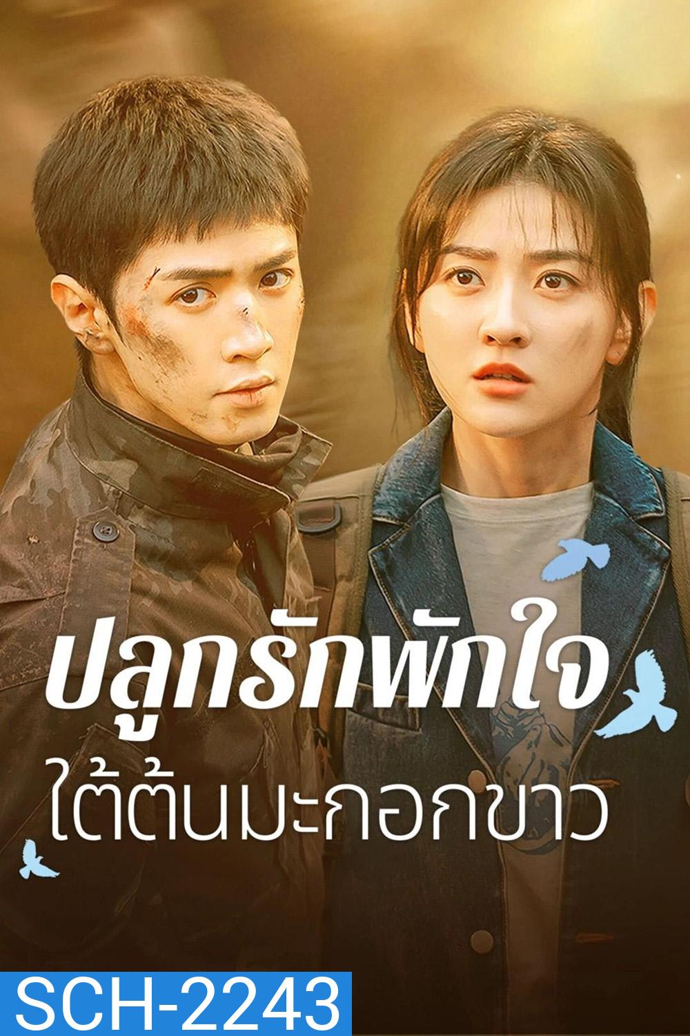 ปลูกรักพักใจ ใต้ต้นมะกอกขาว The White Olive Tree (2025) 38 ตอนจบ