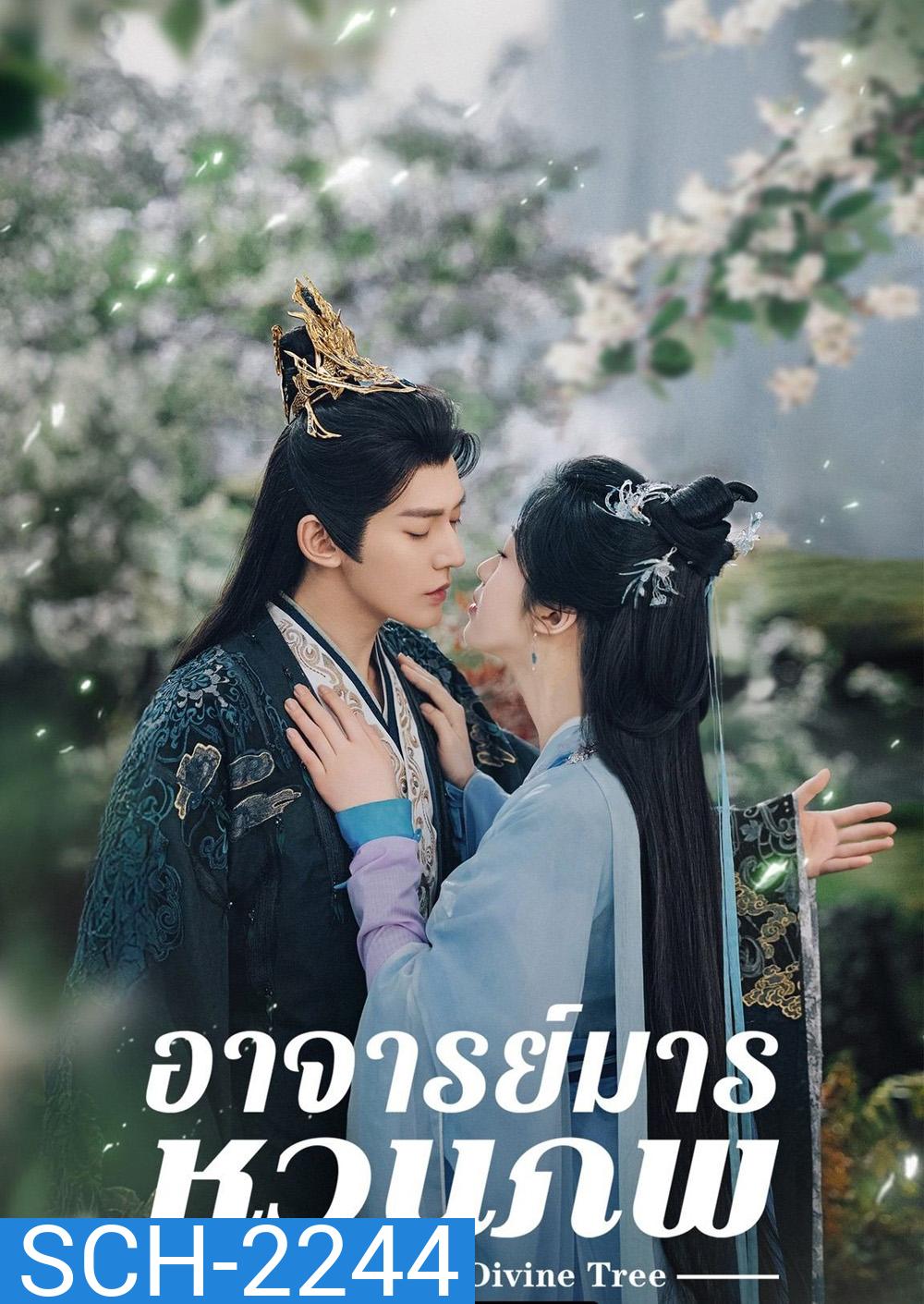 อาจารย์มารหวนภพ Love of the Divine Tree (2025) 40 ตอนจบ
