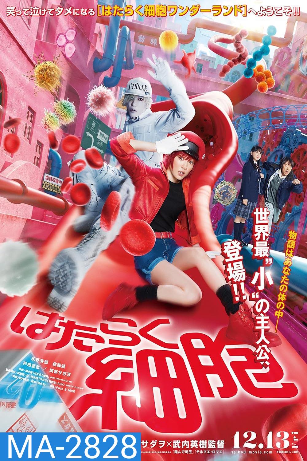 Cells at Work Hataraku Saibou เซลล์ขยันพันธุ์เดือด (2024)