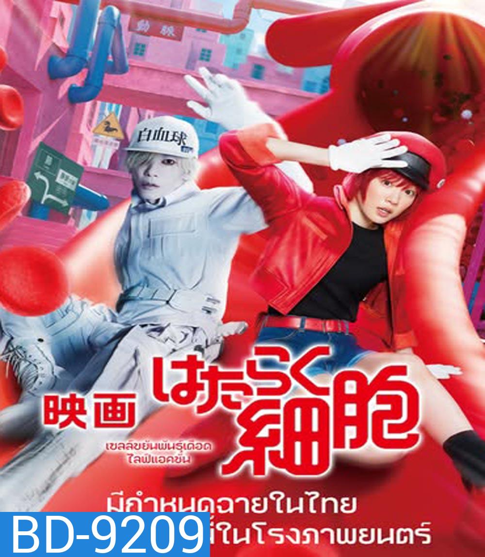 Cells at Work Hataraku Saibou เซลล์ขยันพันธุ์เดือด (2024)