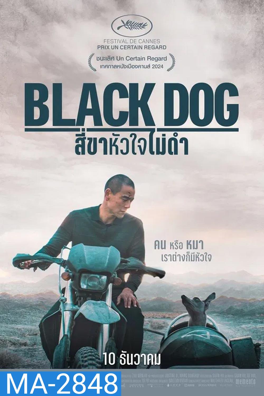 Black Dog สี่ขาหัวใจไม่ดำ (2024)