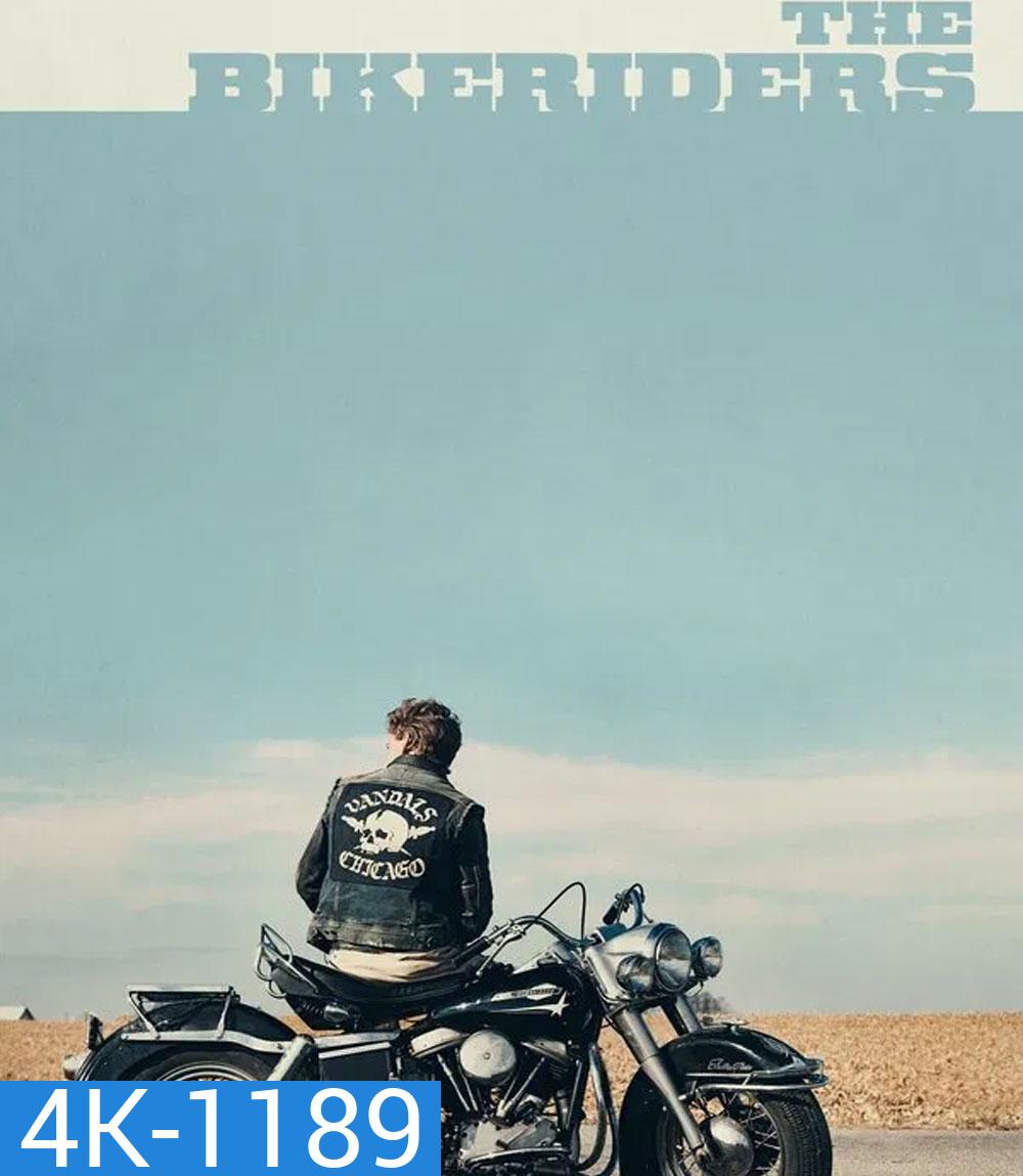 4K - The Bikeriders เดอะ ไบค์ไรเดอร์ส (2024) - แผ่นหนัง 4K UHD