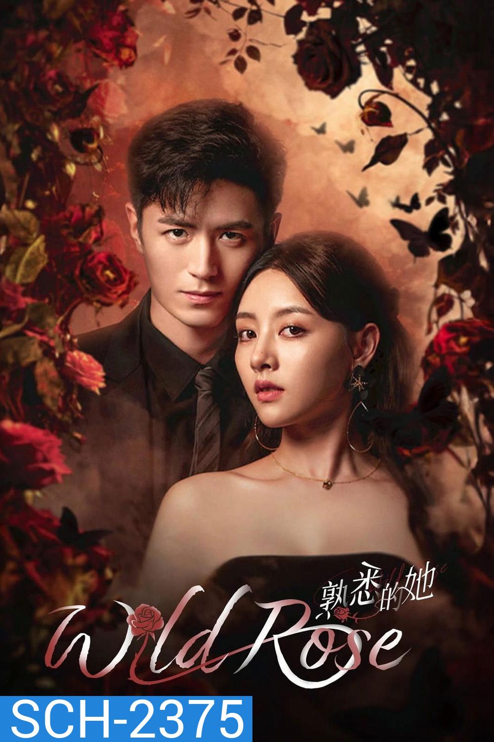 Wild Rose ทวงแค้นได้รัก (2025) 24 ตอนจบ