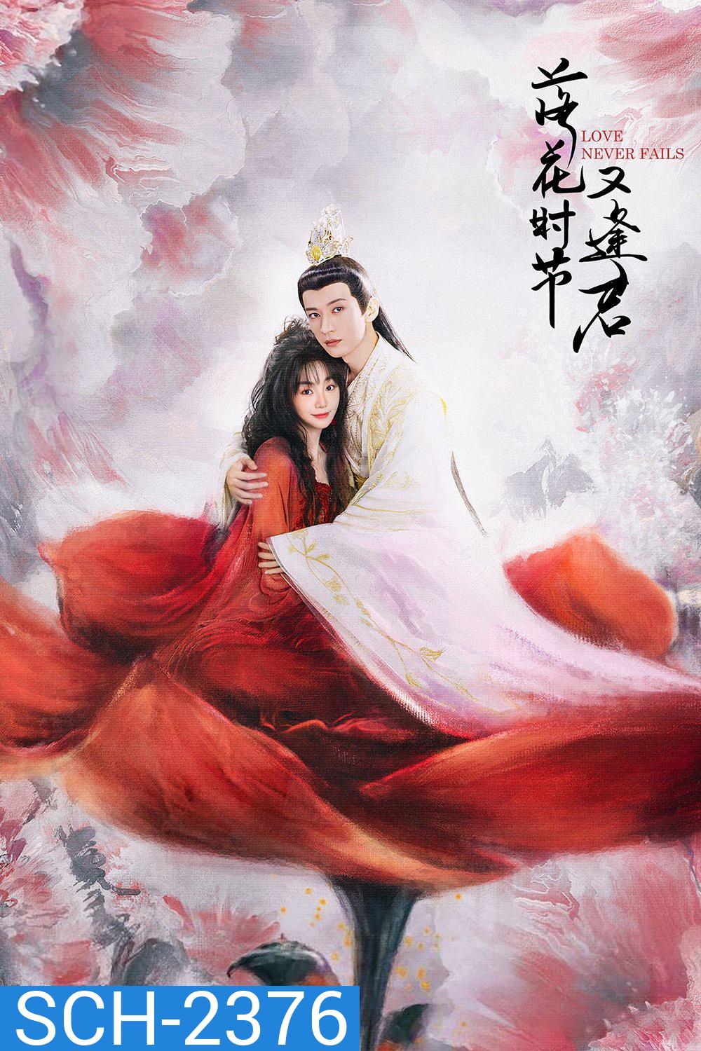 พานพบอีกครายามบุปผาโปรยปราย Love Never Fails (2025) 40 ตอนจบ