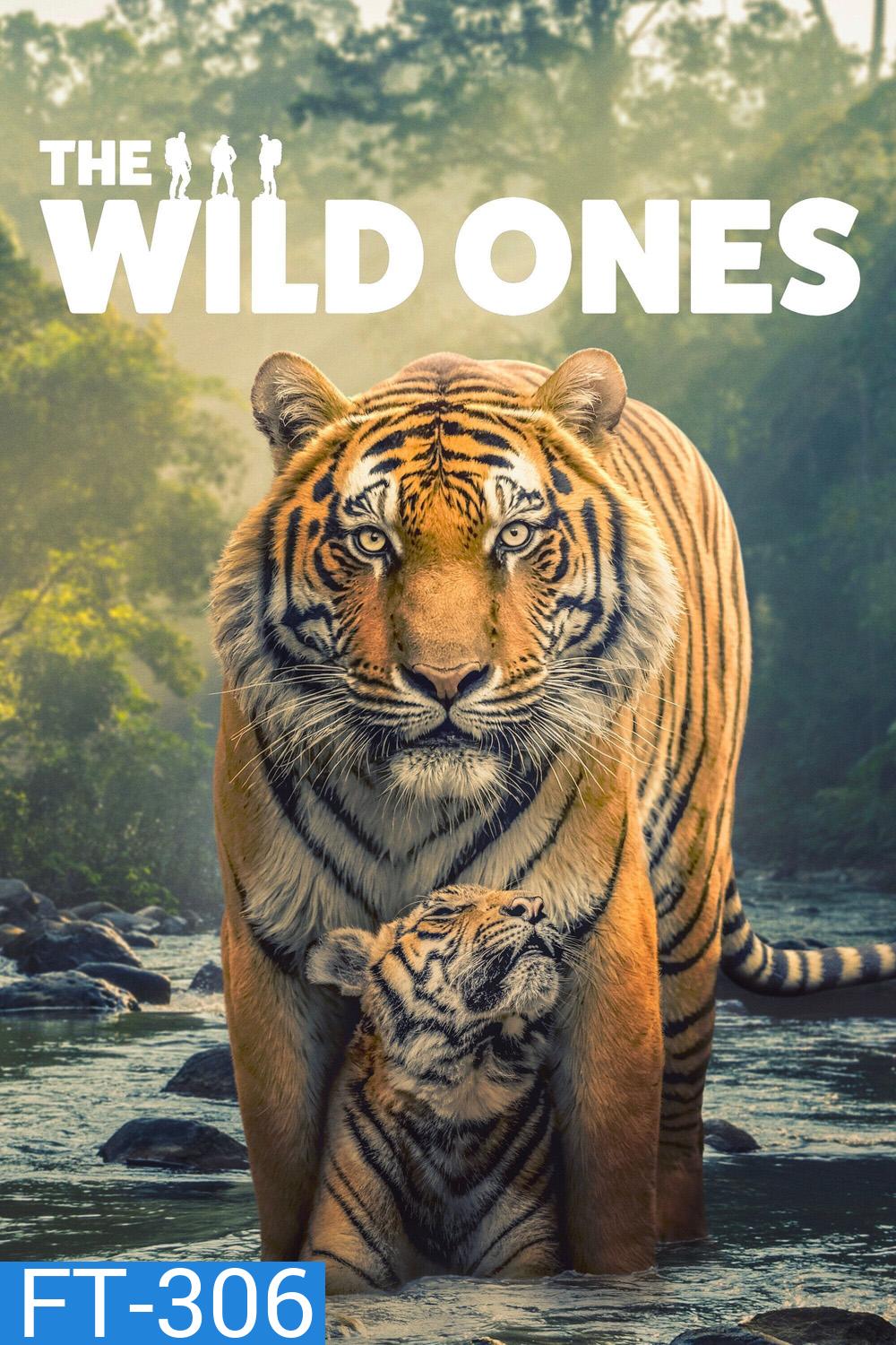 The Wild Ones (2025) 6 ตอน