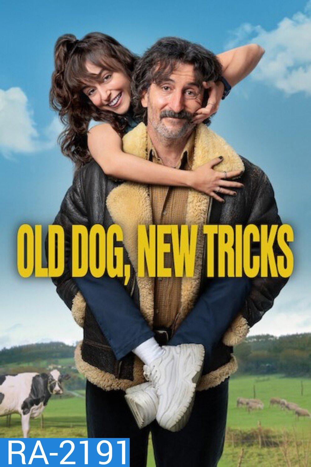Old Dog, New Tricks หมอแก่หัดใหม่ (2025) 9 ตอนจบ