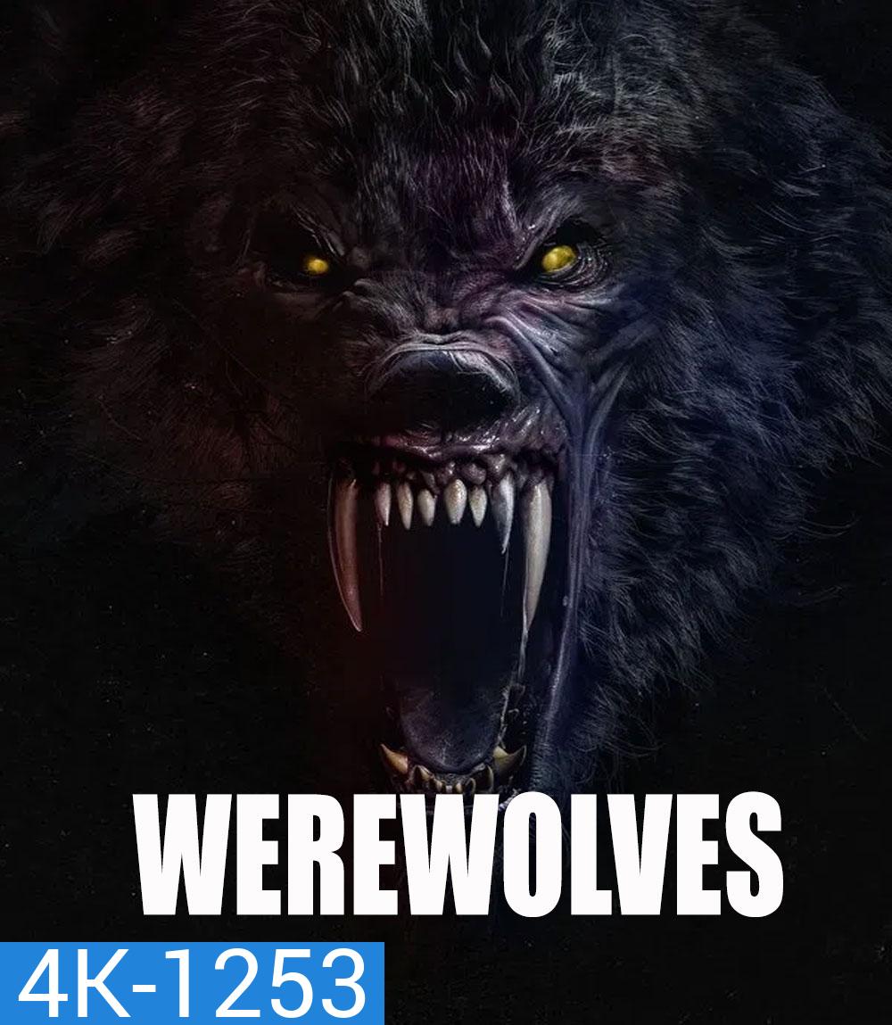 4K - Werewolves (2024) คนหอนกลายพันธุ์ - แผ่นหนัง 4K UHD (ภาพ HDR)