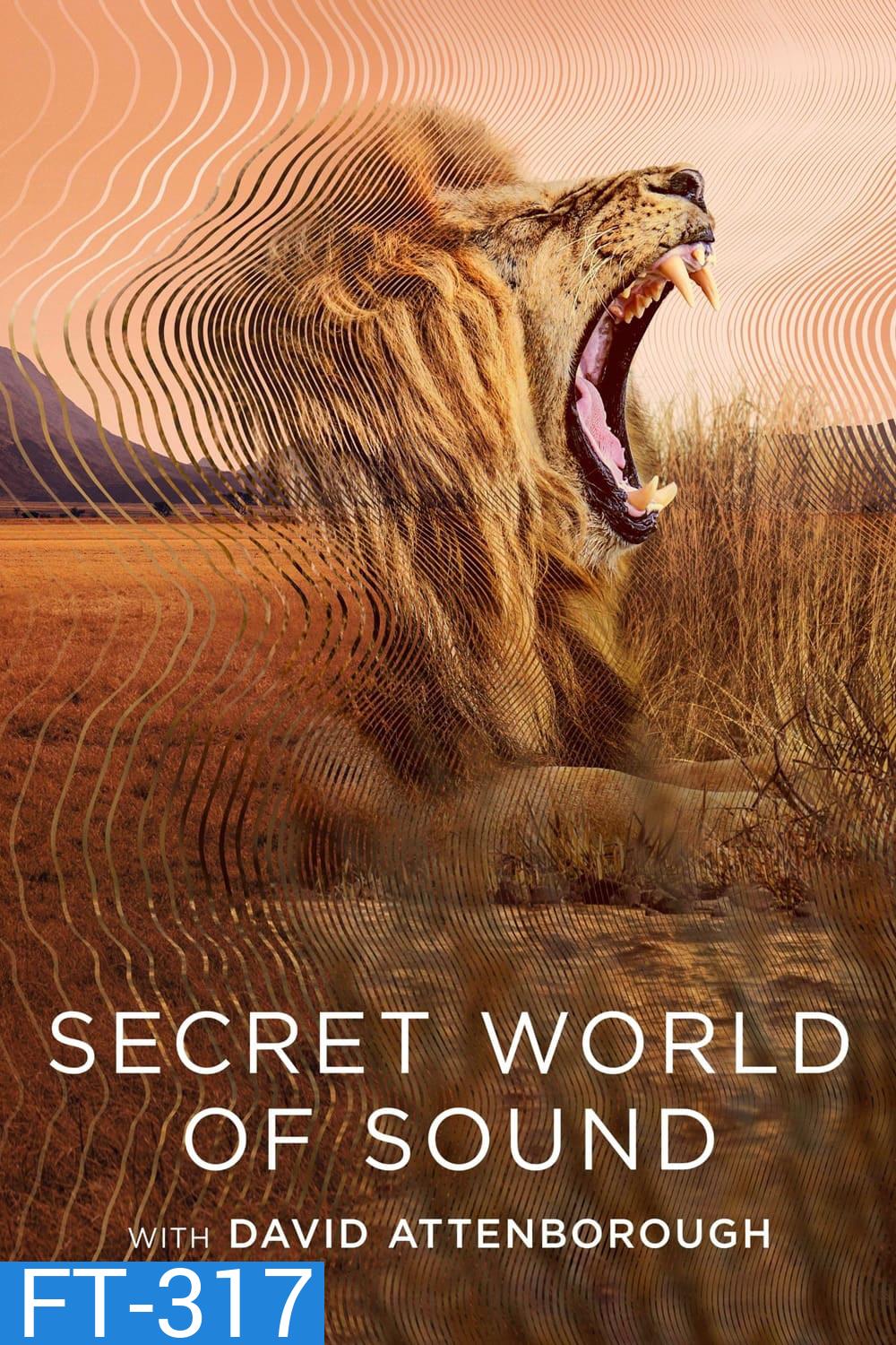 โลกลับแห่งเสียงกับเดวิด แอทเทนเบอเรอห์ Secret World of Sound with David Attenborough (2024) 3 ตอน