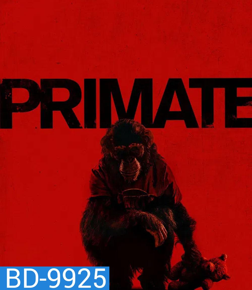 Primate (2026) ลิงคลั่งพันธุ์ดิบ