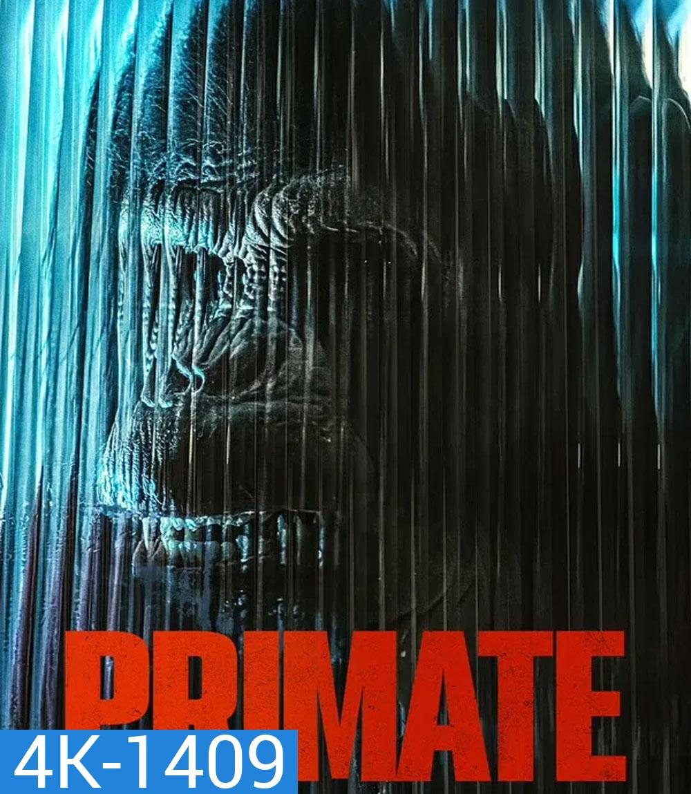 4K - Primate (2026) ลิงคลั่งพันธุ์ดิบ - แผ่นหนัง 4K UHD