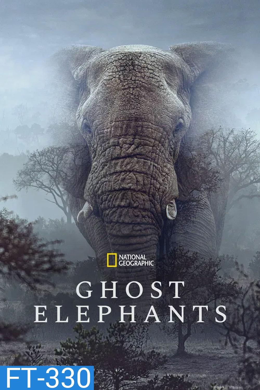 Ghost Elephants (2025)