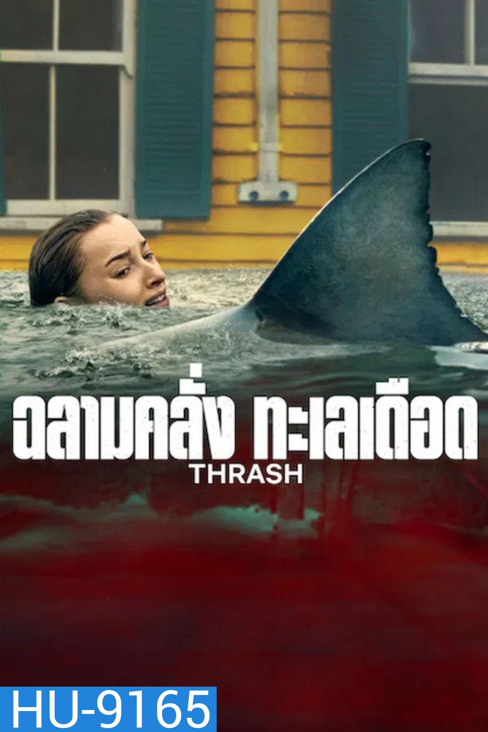 Thrash (2026) ฉลามคลั่ง ทะเลเดือด