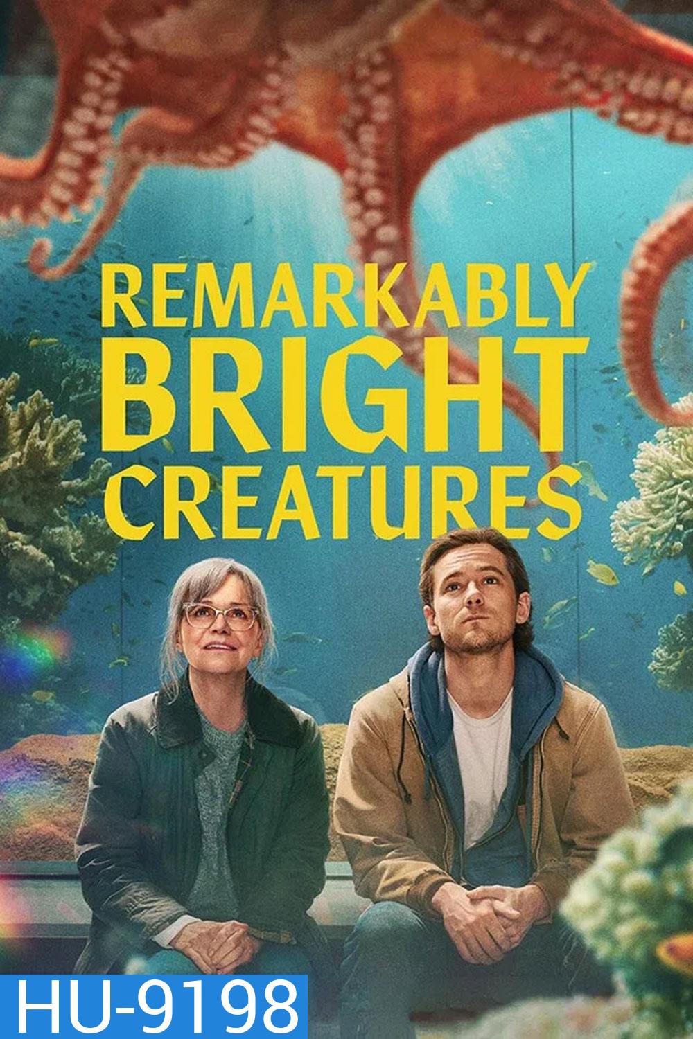 Remarkably Bright Creatures (2026) อควาเรียมสำหรับคน หมึก และสิ่งของ