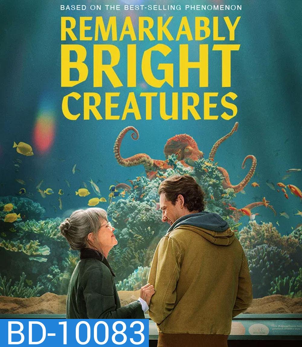 Remarkably Bright Creatures (2026) อควาเรียมสำหรับคน หมึก และสิ่งของ