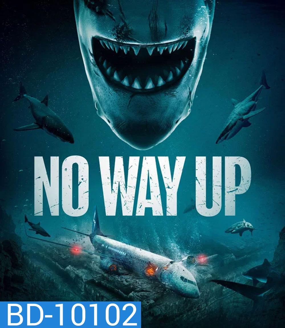 No Way Up (2024) งาบคลั่งไฟลต์