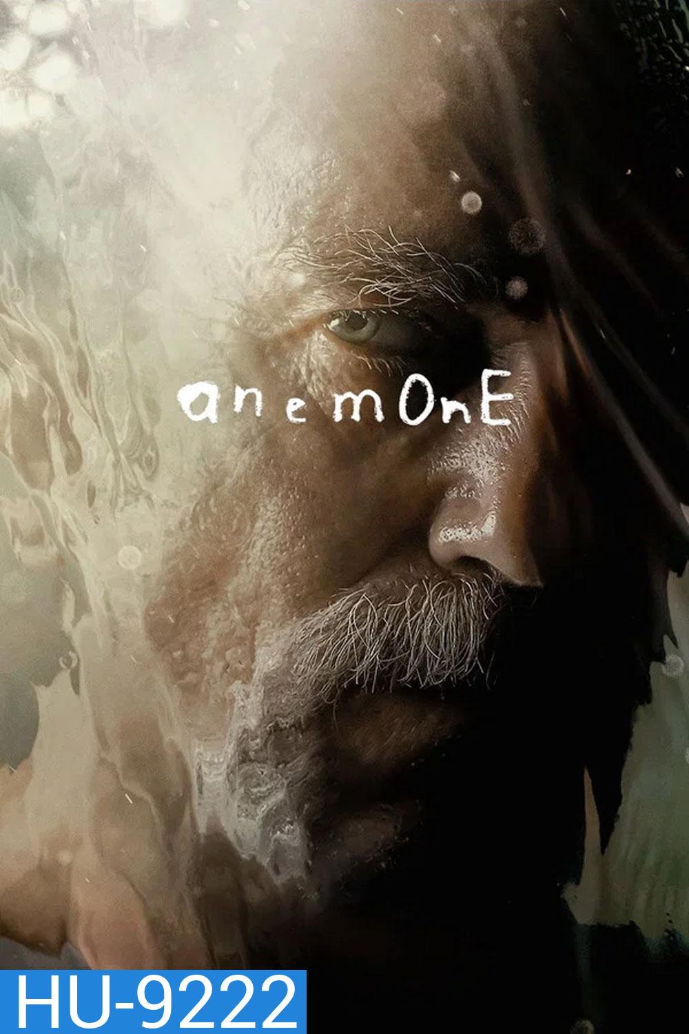 Anemone (2025) อะนีโมนี