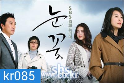 Snow Flower (แรงรัก แรงแค้น)
