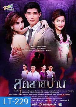 สุดสายป่าน