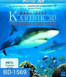 Adventure Caribbean 3D: Diving With Sharks (2012)