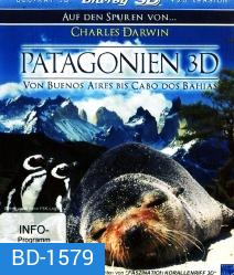 Patagonia: Buenos Aires to Cabo Dos Bahias (3D)