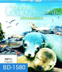 Faszination Galapagos 3D - Südamerika