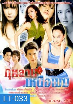 กุหลาบเหนือเมฆ