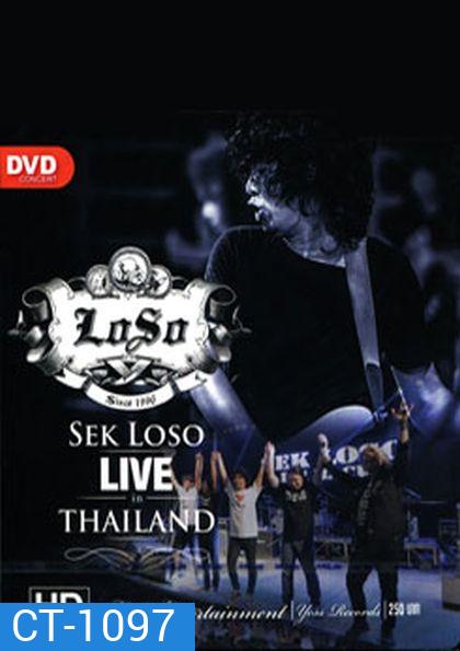 Sek Loso Live In Thailand