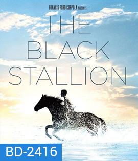 The Black Stallion (1979) อาชาเพื่อนยาก