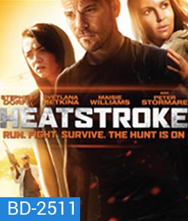 Heatstroke (2014) อีกอึดหัวใจสู้เพื่อรัก