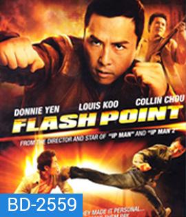 Flash Point (2007) ลุยบ้าเดือด