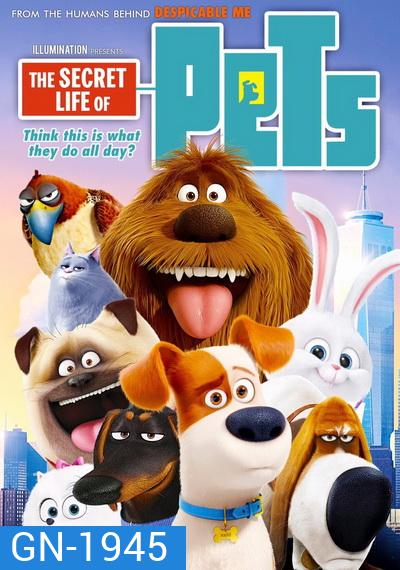 The secret life of pets เรื่องลับแก๊งขนฟู