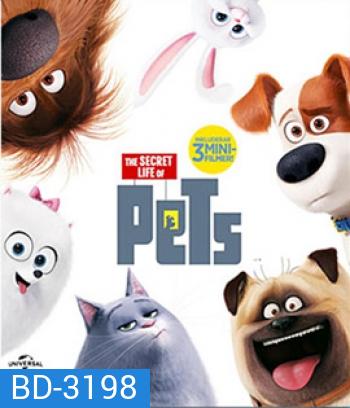 The Secret Life of Pets (2016) เรื่องลับแก๊งขนฟู