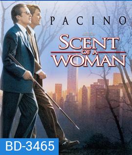 Scent of a Woman (1992) ผู้ชายหัวใจไม่ปอกเปลือก