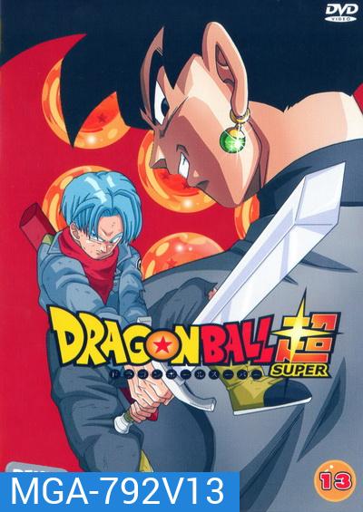 Dragon Ball Super Vol.13