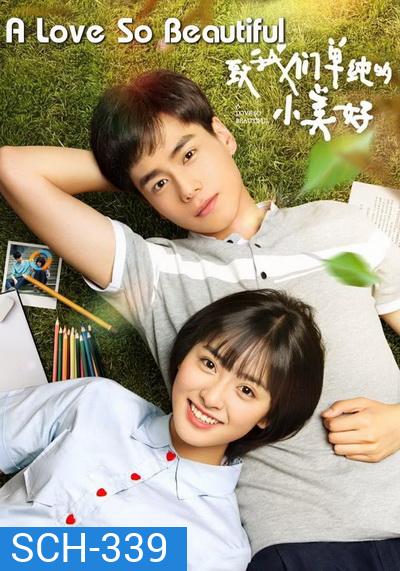 A Love So Beautiful รักนี้มีไว้เพื่อเธอ (23 ตอนจบ)