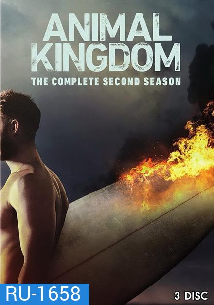 ANIMAL KINGDOM ตระกูลชั่ว ครอบครัวโจร Season 2 (13 ตอนจบ)