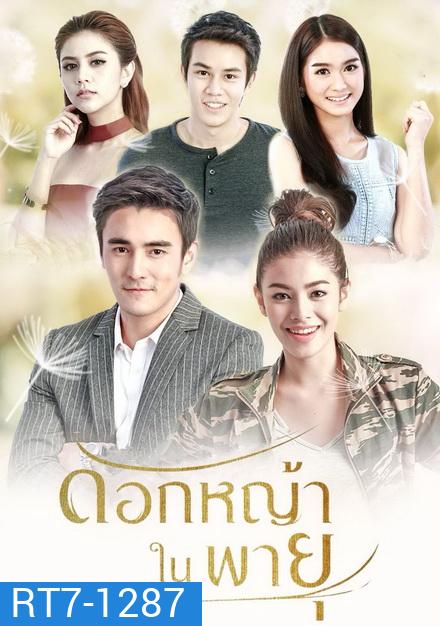 ดอกหญ้าในพายุ ( 16 ตอนจบ + EXTRA )