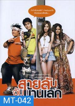 สายลับจับบ้านเล็ก