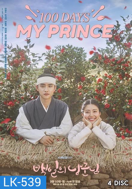 100 Days My Prince ( 16 ตอนจบ )