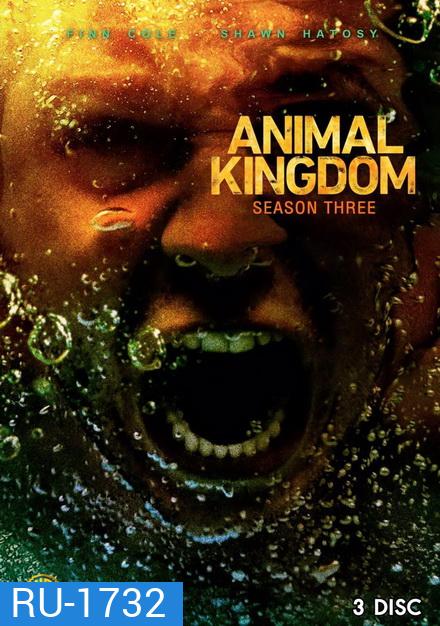 ANIMAL KINGDOM ตระกูลชั่ว ครอบครัวโจร Season 3 (13 ตอนจบ)