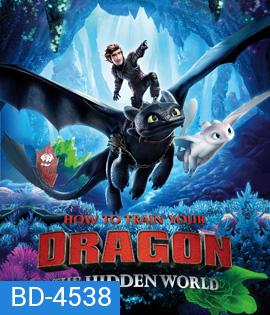 How to Train Your Dragon: The Hidden World (2019) อภินิหารไวกิ้งพิชิตมังกร 3
