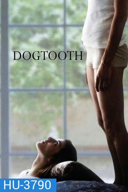 Dogtooth (2009) ครอบครัววิปลาศ (18+)