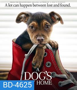 A Dog's Way Home (2019) เพื่อนรักผจญภัยสี่ร้อยไมล์