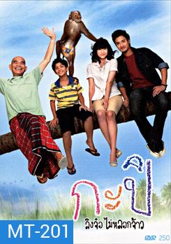 กะปิ ลิงจ๋อไม่หลอกจ้าว